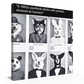 Dog Yearbook Hanging Wall Art
