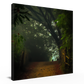 Classic Forest Path Hanging Wall Art